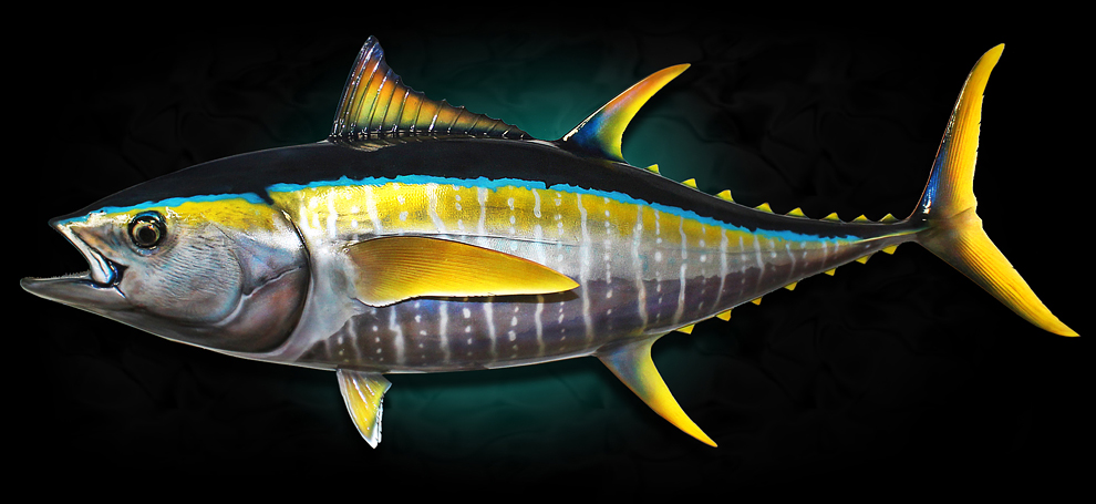 Yellowfin Tuna Fish Replica Mount 