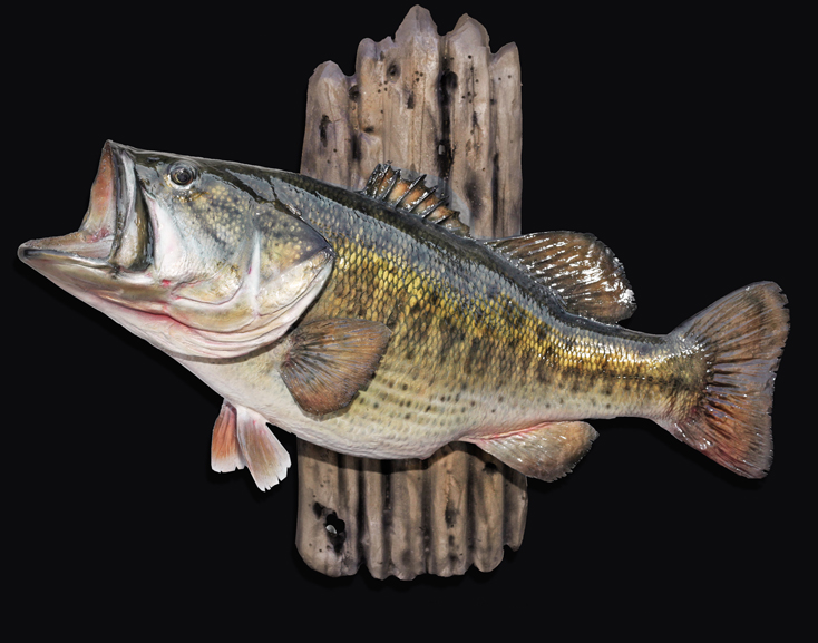 largemouth bass figurine