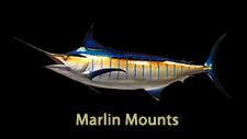 Blue Marlin Replicas