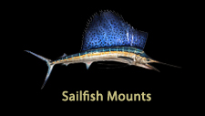Sailfish replicas