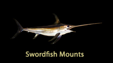 Sword fish replicas