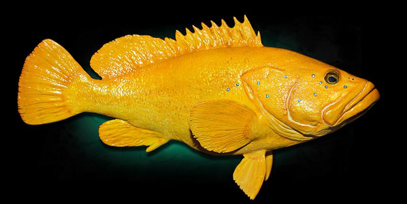 fish replica