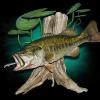 23.5" largemouth bass replica