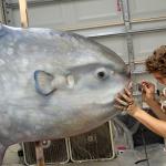 60" Mola being painted