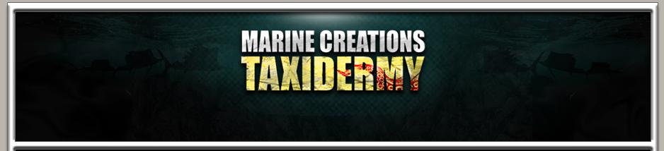 Marine Creations Taxidermy Fish Mounts