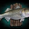 26" Freshwater Striped Bass mount