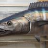 Close up of a wahoo mount