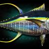 67" Yellowfin Tuna
